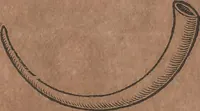 An illustration from Conradi Gesneri medici Tigurini Historiae animalium liber primus de quadrupedibus viuiparis : opus philosophis, medicis, grammaticis, philologis, poëtis, & omnibus rerum linguarumq́ue variarum studiosis, vtilissimum simul iucundissimumq́ue futurum (1602)