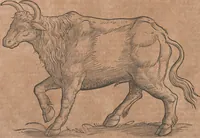 Picture 24 of 184 from Conradi Gesneri medici Tigurini Historiae animalium liber primus de quadrupedibus viuiparis : opus philosophis, medicis, grammaticis, philologis, poëtis, & omnibus rerum linguarumq́ue variarum studiosis, vtilissimum simul iucundissimumq́ue futurum (1602), leaf 175
