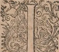 Picture 4 of 184 from Conradi Gesneri medici Tigurini Historiae animalium liber primus de quadrupedibus viuiparis : opus philosophis, medicis, grammaticis, philologis, poëtis, & omnibus rerum linguarumq́ue variarum studiosis, vtilissimum simul iucundissimumq́ue futurum (1602), leaf 18