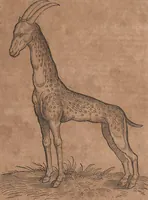 An illustration from Conradi Gesneri medici Tigurini Historiae animalium liber primus de quadrupedibus viuiparis : opus philosophis, medicis, grammaticis, philologis, poëtis, & omnibus rerum linguarumq́ue variarum studiosis, vtilissimum simul iucundissimumq́ue futurum (1602)