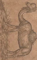 An illustration from Conradi Gesneri medici Tigurini Historiae animalium liber primus de quadrupedibus viuiparis : opus philosophis, medicis, grammaticis, philologis, poëtis, & omnibus rerum linguarumq́ue variarum studiosis, vtilissimum simul iucundissimumq́ue futurum (1602)