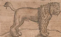 An illustration from Conradi Gesneri medici Tigurini Historiae animalium liber primus de quadrupedibus viuiparis : opus philosophis, medicis, grammaticis, philologis, poëtis, & omnibus rerum linguarumq́ue variarum studiosis, vtilissimum simul iucundissimumq́ue futurum (1602)
