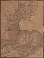 An illustration from Conradi Gesneri medici Tigurini Historiae animalium liber primus de quadrupedibus viuiparis : opus philosophis, medicis, grammaticis, philologis, poëtis, & omnibus rerum linguarumq́ue variarum studiosis, vtilissimum simul iucundissimumq́ue futurum (1602)