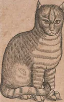 An illustration from Conradi Gesneri medici Tigurini Historiae animalium liber primus de quadrupedibus viuiparis : opus philosophis, medicis, grammaticis, philologis, poëtis, & omnibus rerum linguarumq́ue variarum studiosis, vtilissimum simul iucundissimumq́ue futurum (1602)