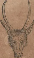 An illustration from Conradi Gesneri medici Tigurini Historiae animalium liber primus de quadrupedibus viuiparis : opus philosophis, medicis, grammaticis, philologis, poëtis, & omnibus rerum linguarumq́ue variarum studiosis, vtilissimum simul iucundissimumq́ue futurum (1602)
