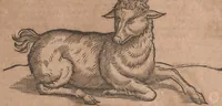 An illustration from Conradi Gesneri medici Tigurini Historiae animalium liber primus de quadrupedibus viuiparis : opus philosophis, medicis, grammaticis, philologis, poëtis, & omnibus rerum linguarumq́ue variarum studiosis, vtilissimum simul iucundissimumq́ue futurum (1602)