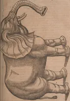 An illustration from Conradi Gesneri medici Tigurini Historiae animalium liber primus de quadrupedibus viuiparis : opus philosophis, medicis, grammaticis, philologis, poëtis, & omnibus rerum linguarumq́ue variarum studiosis, vtilissimum simul iucundissimumq́ue futurum (1602)