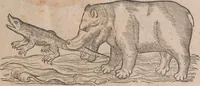 Picture 94 of 184 from Conradi Gesneri medici Tigurini Historiae animalium liber primus de quadrupedibus viuiparis : opus philosophis, medicis, grammaticis, philologis, poëtis, & omnibus rerum linguarumq́ue variarum studiosis, vtilissimum simul iucundissimumq́ue futurum (1602), leaf 538