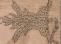 An illustration from Conradi Gesneri medici Tigurini Historiae animalium liber primus de quadrupedibus viuiparis : opus philosophis, medicis, grammaticis, philologis, poëtis, & omnibus rerum linguarumq́ue variarum studiosis, vtilissimum simul iucundissimumq́ue futurum (1602)