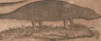 An illustration from Conradi Gesneri medici Tigurini Historiae animalium liber primus de quadrupedibus viuiparis : opus philosophis, medicis, grammaticis, philologis, poëtis, & omnibus rerum linguarumq́ue variarum studiosis, vtilissimum simul iucundissimumq́ue futurum (1602)