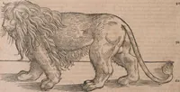An illustration from Conradi Gesneri medici Tigurini Historiae animalium liber primus de quadrupedibus viuiparis : opus philosophis, medicis, grammaticis, philologis, poëtis, & omnibus rerum linguarumq́ue variarum studiosis, vtilissimum simul iucundissimumq́ue futurum (1602)