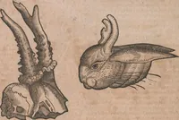 An illustration from Conradi Gesneri medici Tigurini Historiae animalium liber primus de quadrupedibus viuiparis : opus philosophis, medicis, grammaticis, philologis, poëtis, & omnibus rerum linguarumq́ue variarum studiosis, vtilissimum simul iucundissimumq́ue futurum (1602)