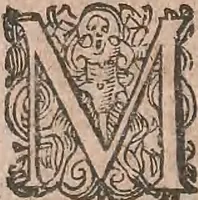 An illustration from Conradi Gesneri medici Tigurini Historiae animalium liber primus de quadrupedibus viuiparis : opus philosophis, medicis, grammaticis, philologis, poëtis, & omnibus rerum linguarumq́ue variarum studiosis, vtilissimum simul iucundissimumq́ue futurum (1602)