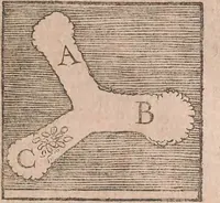 An illustration from Conradi Gesneri medici Tigurini Historiae animalium liber primus de quadrupedibus viuiparis : opus philosophis, medicis, grammaticis, philologis, poëtis, & omnibus rerum linguarumq́ue variarum studiosis, vtilissimum simul iucundissimumq́ue futurum (1602)