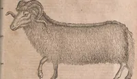 An illustration from Conradi Gesneri medici Tigurini Historiae animalium liber primus de quadrupedibus viuiparis : opus philosophis, medicis, grammaticis, philologis, poëtis, & omnibus rerum linguarumq́ue variarum studiosis, vtilissimum simul iucundissimumq́ue futurum (1602)