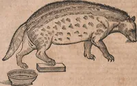 An illustration from Conradi Gesneri medici Tigurini Historiae animalium liber primus de quadrupedibus viuiparis : opus philosophis, medicis, grammaticis, philologis, poëtis, & omnibus rerum linguarumq́ue variarum studiosis, vtilissimum simul iucundissimumq́ue futurum (1602)