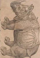 An illustration from Conradi Gesneri medici Tigurini Historiae animalium liber primus de quadrupedibus viuiparis : opus philosophis, medicis, grammaticis, philologis, poëtis, & omnibus rerum linguarumq́ue variarum studiosis, vtilissimum simul iucundissimumq́ue futurum (1602)