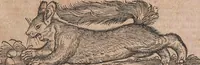 An illustration from Conradi Gesneri medici Tigurini Historiae animalium liber primus de quadrupedibus viuiparis : opus philosophis, medicis, grammaticis, philologis, poëtis, & omnibus rerum linguarumq́ue variarum studiosis, vtilissimum simul iucundissimumq́ue futurum (1602)