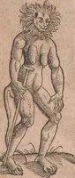 An illustration from Conradi Gesneri medici Tigurini Historiae animalium liber primus de quadrupedibus viuiparis : opus philosophis, medicis, grammaticis, philologis, poëtis, & omnibus rerum linguarumq́ue variarum studiosis, vtilissimum simul iucundissimumq́ue futurum (1602)