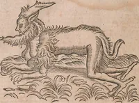 An illustration from Conradi Gesneri medici Tigurini Historiae animalium liber primus de quadrupedibus viuiparis : opus philosophis, medicis, grammaticis, philologis, poëtis, & omnibus rerum linguarumq́ue variarum studiosis, vtilissimum simul iucundissimumq́ue futurum (1602)