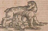 An illustration from Conradi Gesneri medici Tigurini Historiae animalium liber primus de quadrupedibus viuiparis : opus philosophis, medicis, grammaticis, philologis, poëtis, & omnibus rerum linguarumq́ue variarum studiosis, vtilissimum simul iucundissimumq́ue futurum (1602)