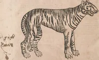 An illustration from Conradi Gesneri medici Tigurini Historiae animalium liber primus de quadrupedibus viuiparis : opus philosophis, medicis, grammaticis, philologis, poëtis, & omnibus rerum linguarumq́ue variarum studiosis, vtilissimum simul iucundissimumq́ue futurum (1602)