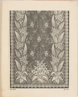 Picture 15 of 20 from New designs in lace curtains 1893 / from Copestake, Lindsay, Crampton & Co. (1893), leaf 18
