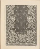 Picture 7 of 20 from New designs in lace curtains 1893 / from Copestake, Lindsay, Crampton & Co. (1893), leaf 8