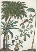 An illustration from Le Costume ancien et moderne ; ou, Histoire du gouvernement, de la milice, de la religion, des arts, sciences et usages de tous les peuples anciens et modernes, d'après les monumens de l'antiquité et accompagné de dessins analogues au sujet (1815)