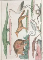 An illustration from Le Costume ancien et moderne ; ou, Histoire du gouvernement, de la milice, de la religion, des arts, sciences et usages de tous les peuples anciens et modernes, d'après les monumens de l'antiquité et accompagné de dessins analogues au sujet (1815)