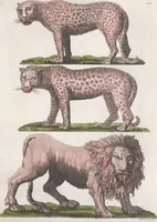 An illustration from Le Costume ancien et moderne ; ou, Histoire du gouvernement, de la milice, de la religion, des arts, sciences et usages de tous les peuples anciens et modernes, d'après les monumens de l'antiquité et accompagné de dessins analogues au sujet (1815)