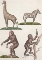 An illustration from Le Costume ancien et moderne ; ou, Histoire du gouvernement, de la milice, de la religion, des arts, sciences et usages de tous les peuples anciens et modernes, d'après les monumens de l'antiquité et accompagné de dessins analogues au sujet (1815)