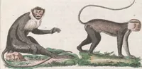 An illustration from Le Costume ancien et moderne ; ou, Histoire du gouvernement, de la milice, de la religion, des arts, sciences et usages de tous les peuples anciens et modernes, d'après les monumens de l'antiquité et accompagné de dessins analogues au sujet (1815)