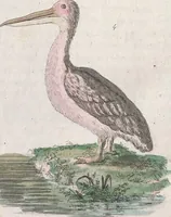 An illustration from Le Costume ancien et moderne ; ou, Histoire du gouvernement, de la milice, de la religion, des arts, sciences et usages de tous les peuples anciens et modernes, d'après les monumens de l'antiquité et accompagné de dessins analogues au sujet (1815)
