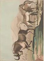 An illustration from Le Costume ancien et moderne ; ou, Histoire du gouvernement, de la milice, de la religion, des arts, sciences et usages de tous les peuples anciens et modernes, d'après les monumens de l'antiquité et accompagné de dessins analogues au sujet (1815)