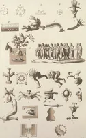 An illustration from Le Costume ancien et moderne ; ou, Histoire du gouvernement, de la milice, de la religion, des arts, sciences et usages de tous les peuples anciens et modernes, d'après les monumens de l'antiquité et accompagné de dessins analogues au sujet (1815)