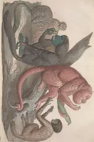 An illustration from Le Costume ancien et moderne ; ou, Histoire du gouvernement, de la milice, de la religion, des arts, sciences et usages de tous les peuples anciens et modernes, d'après les monumens de l'antiquité et accompagné de dessins analogues au sujet (1815)