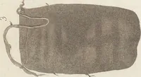 An illustration from Le Costume ancien et moderne ; ou, Histoire du gouvernement, de la milice, de la religion, des arts, sciences et usages de tous les peuples anciens et modernes, d'après les monumens de l'antiquité et accompagné de dessins analogues au sujet (1815)