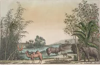 An illustration from Le Costume ancien et moderne ; ou, Histoire du gouvernement, de la milice, de la religion, des arts, sciences et usages de tous les peuples anciens et modernes, d'après les monumens de l'antiquité et accompagné de dessins analogues au sujet (1815)