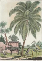 An illustration from Le Costume ancien et moderne ; ou, Histoire du gouvernement, de la milice, de la religion, des arts, sciences et usages de tous les peuples anciens et modernes, d'après les monumens de l'antiquité et accompagné de dessins analogues au sujet (1815)