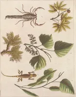 An illustration from Le Costume ancien et moderne ; ou, Histoire du gouvernement, de la milice, de la religion, des arts, sciences et usages de tous les peuples anciens et modernes, d'après les monumens de l'antiquité et accompagné de dessins analogues au sujet (1815)