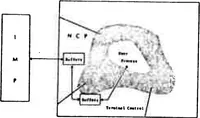 Picture 12 of 17 from Computer Network Research (1972), leaf 111