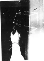 Picture 11 of 15 from Graphical Man/Machine Communications (1972), leaf 46