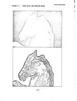 Picture 28 of 38 from Geometric Modeling for Computer Vision (1974), leaf 95