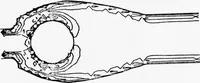 Picture 56 of 63 from An Application of Computer Graphics: Two Concurrent Investigations Within the Medical Field, (1971), leaf 215