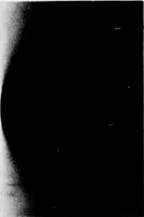 Picture 36 of 37 from Digital Picture Processing and Psychophysics: A Study of Brightness Perception, (1973), leaf 119