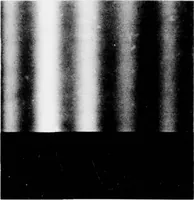 Picture 13 of 37 from Digital Picture Processing and Psychophysics: A Study of Brightness Perception, (1973), leaf 76