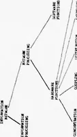 An illustration from Computer Networks (1979)