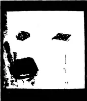 An illustration from Artificial Intelligence -- Research and Applications (1976)