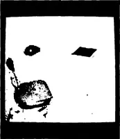 Picture 10 of 26 from Artificial Intelligence -- Research and Applications (1976), leaf 34